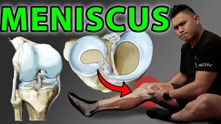 5 Best Meniscus Knee Exercises and Tests for Quick Recovery [upl. by Elsa]