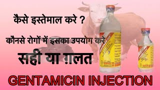 GENTAMICIN INJECTIONS  उपयोग कैसे करे और कब नहीं करे इल्लाज़ तथा जानकारी [upl. by Remled377]