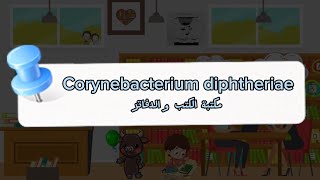 Corynebacterium diphtheriae مكتبة الكتب و الدفاتر 📒AlbaMicro 🤍🧪 [upl. by Florine174]