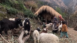 living with beautiful nature ll lifestyle of Himalayans in rainy seasons ll village life Nepal ll [upl. by Anitrak]