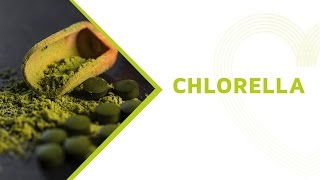 Chlorella Health Benefits Everything You Should Know About this Superfood [upl. by Ciardap]