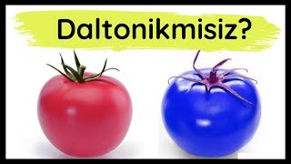 Oquotzingizni sinab koring 99 Daltonik odamla daltonizmligini bilishmaydi [upl. by Eadmund]