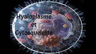 HYALOPLASME ET CYTOSQUELETTE [upl. by Eseilanna864]