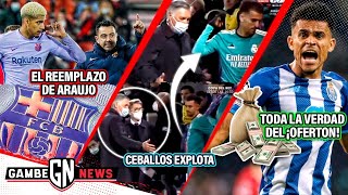 Sustituto X ARAÚJO 🤯 ¡Ceballos EXPLOTA vs ANCELOTTI  La verdad del OFERTON X LUIS DÍAZ [upl. by Jessee]