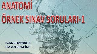 Anatomi Öğreten Örnek Sınav Soruları1  ÖnlisansLisans [upl. by Eesdnyl]