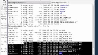 34 Mysql Database Replication [upl. by Aubreir]