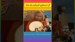 පින කියන්නේ කුමකටද  ven kotugoda dhammawasa thero [upl. by Herring]