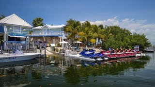 Ibis Bay Beach Resort  Best Hotels And Resorts In Key West FL  Video Tour [upl. by Maridel163]