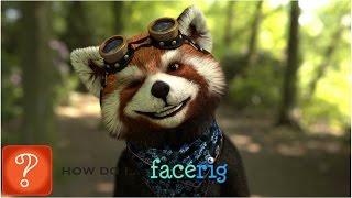 Facerig Tutorial [upl. by Buckden971]