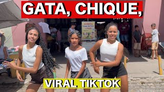 GATA CHIQUE CHARMOSA DE VALENTINO  VIRAL TIK TOK  VERSAO SERESTA VIDEO CLIPE [upl. by Alyaj]