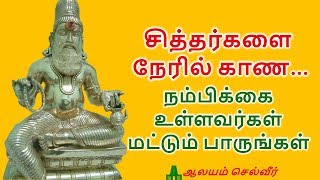 சித்தர்களை காண மந்திரம்  Siddhar Worship  Siddhar Vazhipadu [upl. by Jaquiss]