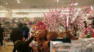 Daiso New York Flushing [upl. by Esirehs839]