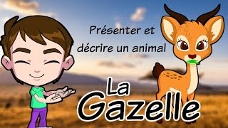 Présenter et décrire un animal  La Gazelleanimals the gazelle in french [upl. by Ernie]