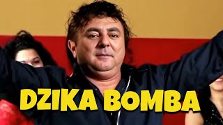 ROBERT MAKŁOWICZ  DZIKA BOMBA 💣 Sandu Ciorba  Dalibomba AI Cover [upl. by Vogele596]