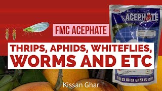 Acephate for thrips by FMC  Usages and benefits  for all crops  aphids  Kissan Ghar [upl. by Akeret]