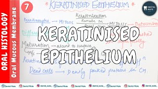 Keratinised Epithelium  Keratinization process  Maturation of keratinocytes  OMM  Dr Paridhi [upl. by Akisej]