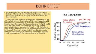 BOHR EFFECT [upl. by Meece]