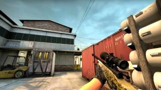 CSGO leaky [upl. by Eeluj]