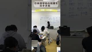 【日本語学校の授業を覗き見🫣】～読解→会話編～ 学生の出した内容がかなり高度だった件 日本語教師 日本語教師養成講座 日本語学校 [upl. by Irak]