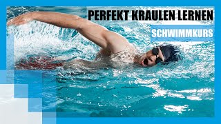 Schwimmkurs Perfekt Kraulen lernen  FIT FOR FUN [upl. by Sissel]