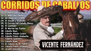 🔥 MIX VICENTE FERNANDEZ 🔥 CORRIDOS DE CABALLOS 🏇 🐎 🐴 30 EXITOS MEJORES CANCIONES MIX 🔥 [upl. by Hector71]