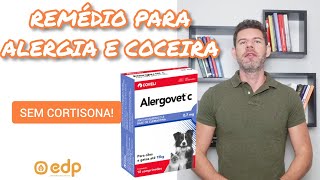 137  TRATAMENTO PARA CACHORRO E GATO SE COÇANDO COM ALERGIA LAMBE AS PATAS [upl. by Zobkiw627]