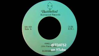 Burnwood  Amelia Private Press Rock USA [upl. by Rosalynd]