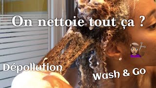 DIY Dépollution  Wash amp Go définition maximale [upl. by Arahs481]