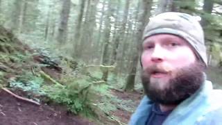 Danner Trail 2650 GTX Hiking Shoe Review [upl. by Marozas272]