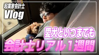 【会計士VLOG】仕事×勉強×トレーニング×遊びの独立会計士ルーティーン【公認会計士小山あきひろ】 [upl. by Schwejda]