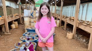 Gem Mining at Emerald Hollow Mine Hiddenite NC [upl. by Jovi]