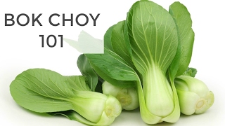 Bok Choy 101  Everything You Need to Know [upl. by Varien286]