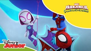 👀 Avem un intrus  Păienjenelul Marvel și prietenii lui uimitori  Disney Junior România [upl. by Sahcnip]