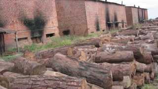 University of Colorado Denver  Department of Anthropology [upl. by Partan]