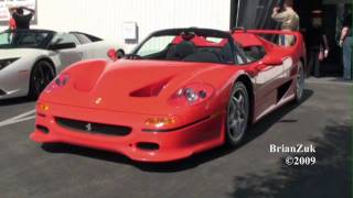 Ferrari F50 [upl. by Seligmann]