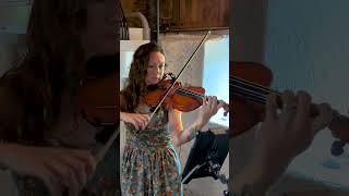 Iron amp Wine  Flightless Bird American Mouth The Fox Music Violin Cover [upl. by Quackenbush]