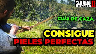 Como conseguir PIELES PERFECTAS en Red Dead Redemption 2  Guía de CAZA [upl. by Keelin]