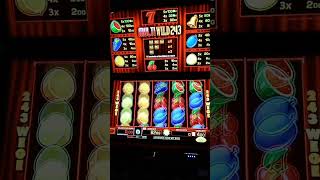 Multi Wild 243 Risikoleiter mit 450€ Spieleinsatz Merkur Zocken [upl. by Neelya]