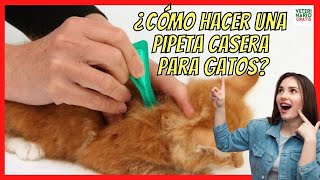 ¿CÓMO HACER UNA PIPETA CASERA PARA GATOS 🍀 CON PULGAS O GARRAPATAS [upl. by Bibeau]