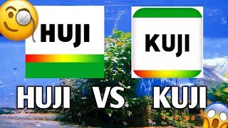 Huji Vs Kuji Comparison [upl. by Leirbag630]