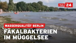 Warnung vor Bakterien im Müggelsee und Wannsee in Berlin [upl. by Enneirdna]