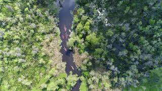 Manchac Swamp Tour by Guided Kayak Tour [upl. by Elleuqar]