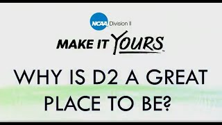 What Makes D2 a Great Place to Play Baseball [upl. by Sorvats]