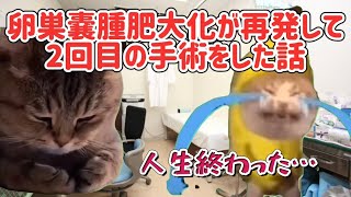 【猫ミーム】卵巣嚢腫肥大化が再発して2回目の手術をした話【猫マニ】 [upl. by Sivar]