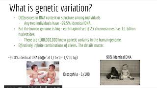 Applied Computational Genomics  03 Genetic Variation [upl. by Ahseikal]