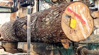 How to saw yellow pine wood 34 [upl. by Gove105]