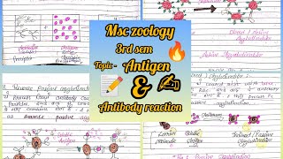 antigen and antibody reaction msc zoology 3rd sem notes immunology ✍️📝✨ [upl. by Paradies731]