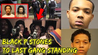 The Story of NLMB From Black P Stones To Last Gang Standing [upl. by Airuam]