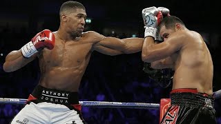 Anthony Joshua Vs Eric Molina Highlights IBF Title [upl. by Petta]