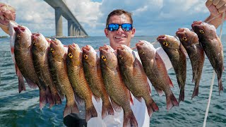 This BRIDGE was LOADED Catch Clean Cook Mangrove Snapper [upl. by Pascha664]